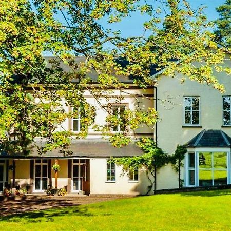 Tyn Y Cae Vila Brecon Exterior foto